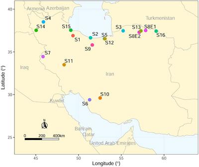 Karyology and Genome Size Analyses of Iranian Endemic Pimpinella (Apiaceae) Species